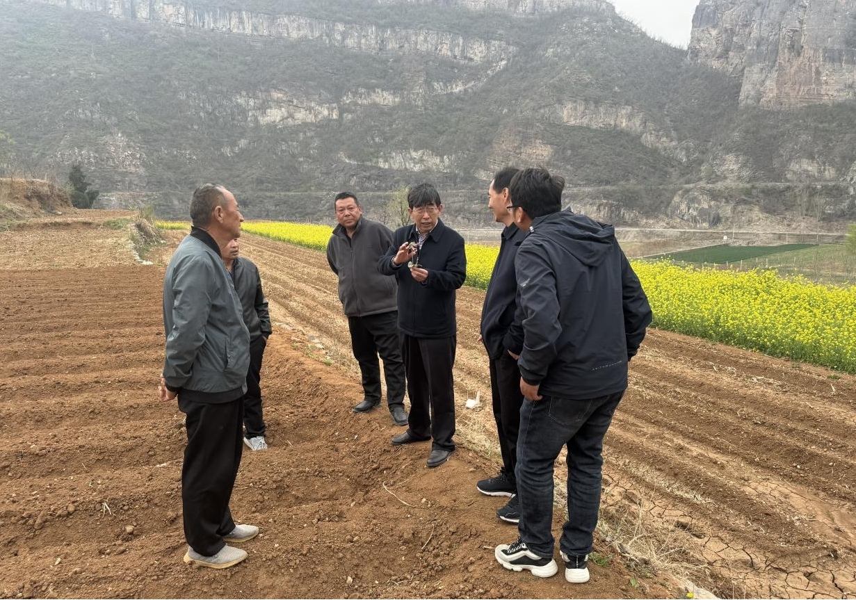 首席科普专家李建军赴卫辉市开展地黄产业技术服务