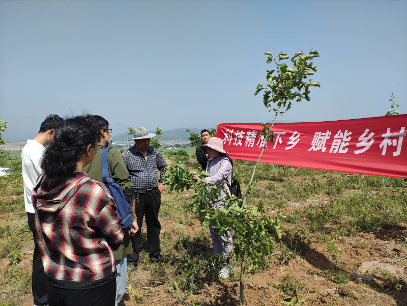 新乡市科协开展科技精准下乡活动